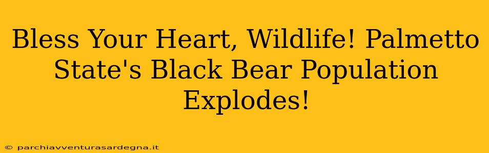 Bless Your Heart, Wildlife! Palmetto State's Black Bear Population Explodes!