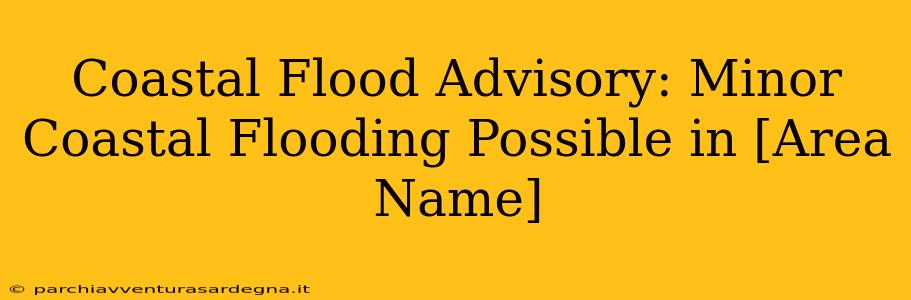 Coastal Flood Advisory: Minor Coastal Flooding Possible in [Area Name]