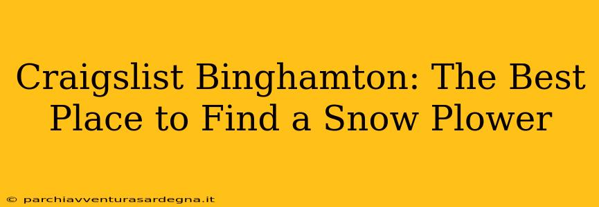 Craigslist Binghamton: The Best Place to Find a Snow Plower