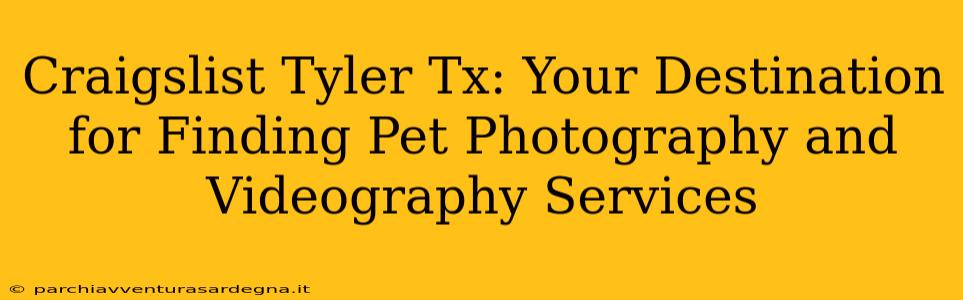 Craigslist Tyler Tx: Your Destination for Finding Pet Photography and Videography Services