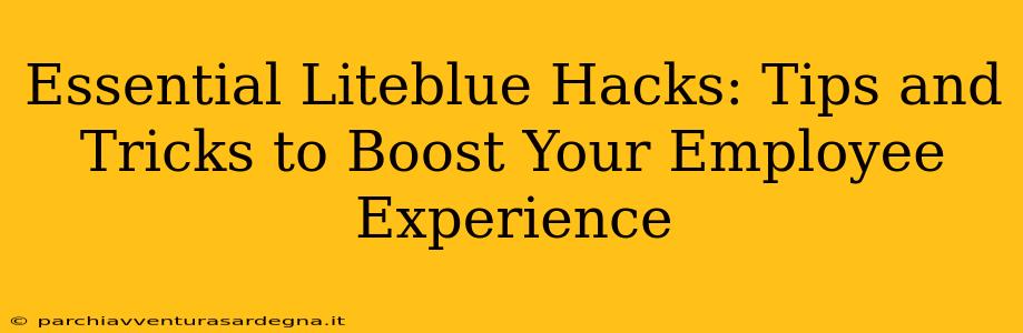 Essential Liteblue Hacks: Tips and Tricks to Boost Your Employee Experience