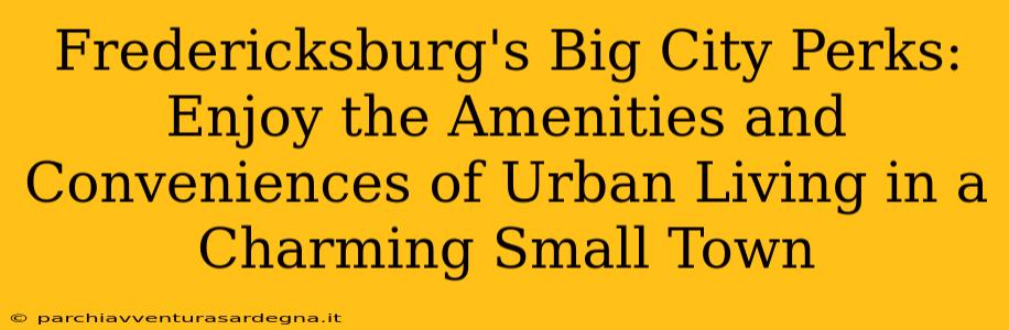 Fredericksburg's Big City Perks: Enjoy the Amenities and Conveniences of Urban Living in a Charming Small Town