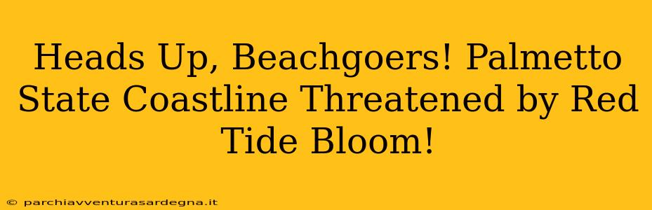 Heads Up, Beachgoers! Palmetto State Coastline Threatened by Red Tide Bloom!