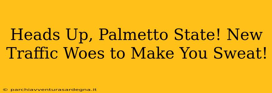 Heads Up, Palmetto State! New Traffic Woes to Make You Sweat!