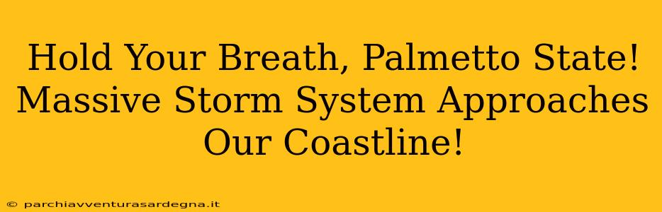 Hold Your Breath, Palmetto State! Massive Storm System Approaches Our Coastline!