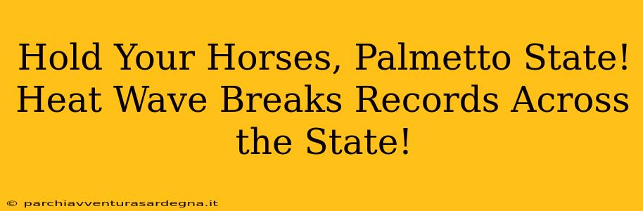 Hold Your Horses, Palmetto State! Heat Wave Breaks Records Across the State!