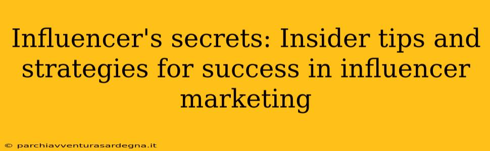 Influencer's secrets: Insider tips and strategies for success in influencer marketing