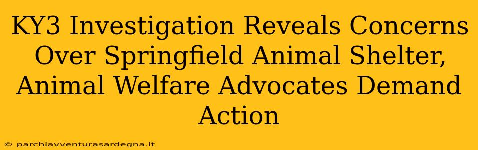 KY3 Investigation Reveals Concerns Over Springfield Animal Shelter, Animal Welfare Advocates Demand Action