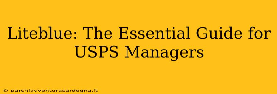 Liteblue: The Essential Guide for USPS Managers