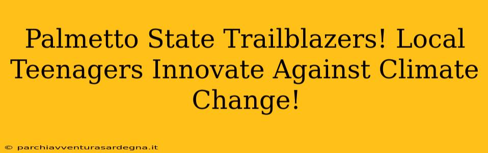 Palmetto State Trailblazers! Local Teenagers Innovate Against Climate Change!