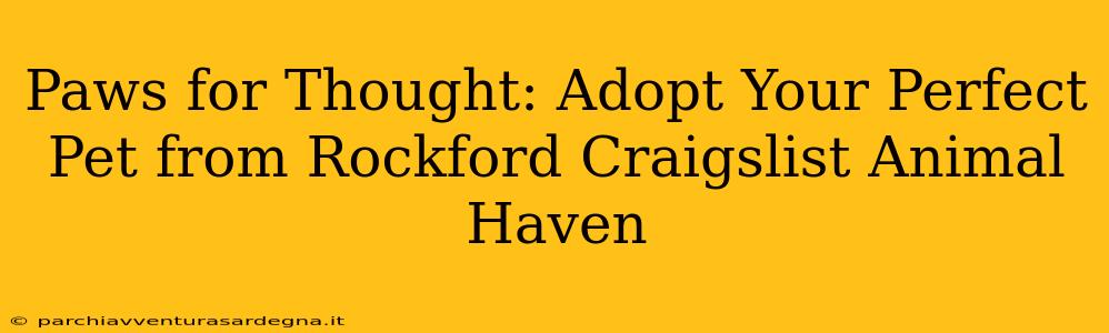 Paws for Thought: Adopt Your Perfect Pet from Rockford Craigslist Animal Haven