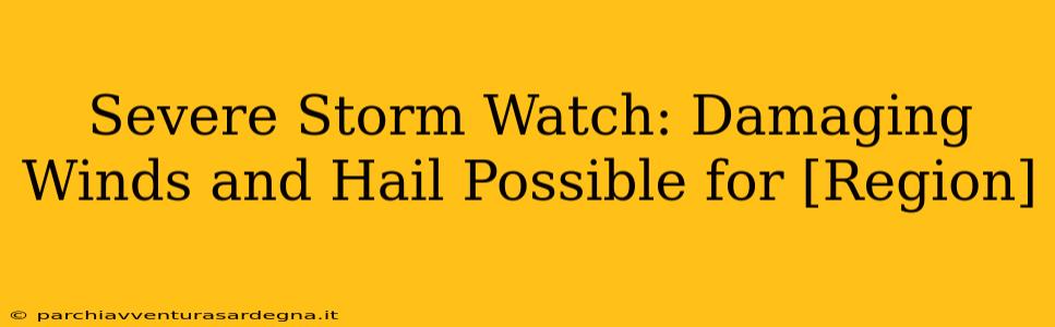 Severe Storm Watch: Damaging Winds and Hail Possible for [Region]