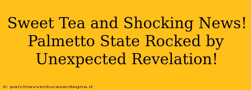 Sweet Tea and Shocking News! Palmetto State Rocked by Unexpected Revelation!