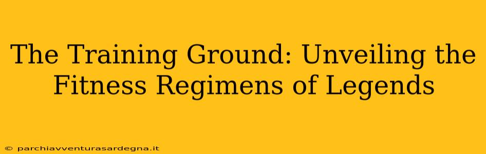 The Training Ground: Unveiling the Fitness Regimens of Legends