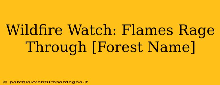 Wildfire Watch: Flames Rage Through [Forest Name]