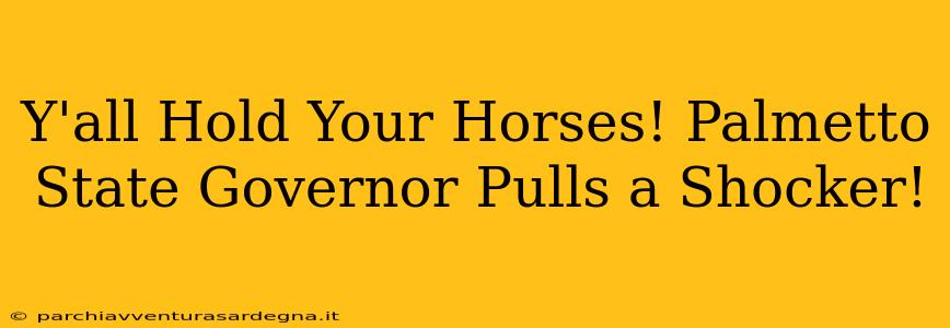 Y'all Hold Your Horses! Palmetto State Governor Pulls a Shocker!