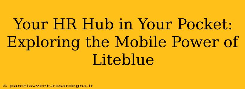 Your HR Hub in Your Pocket: Exploring the Mobile Power of Liteblue