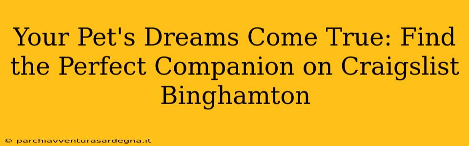 Your Pet's Dreams Come True: Find the Perfect Companion on Craigslist Binghamton