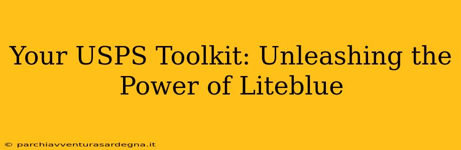 Your USPS Toolkit: Unleashing the Power of Liteblue